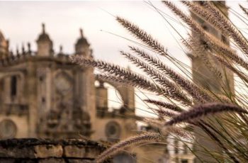 Jerez-Andalucía