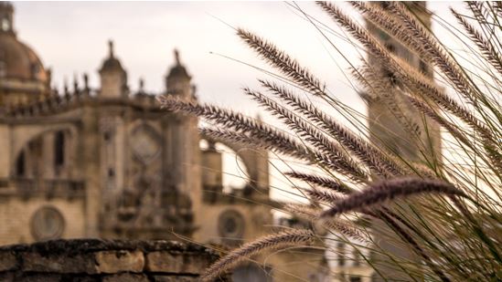 Jerez-Andalucía